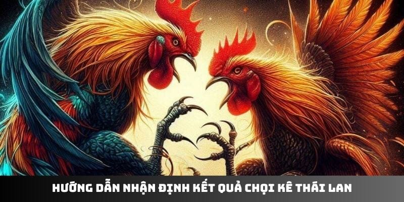 Hướng dẫn nhận định kết quả chọi kê Thái Lan