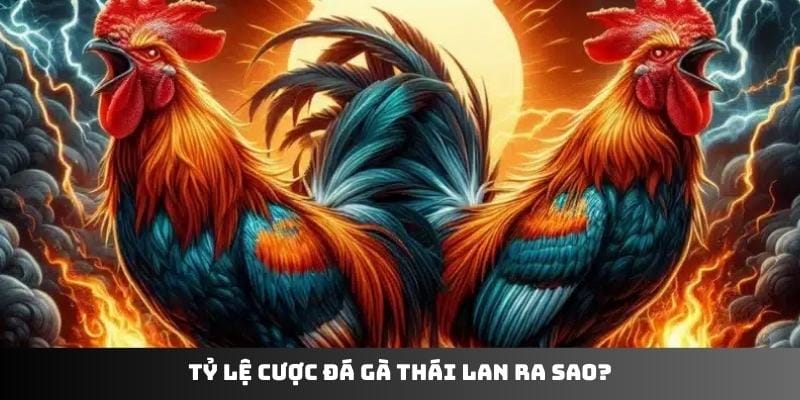 Tỷ lệ cược đá gà Thái Lan ra sao?